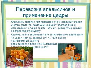 Перевозка апельсинов и применение цедры Апельсины требуют при перевозке очень хо