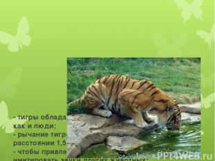 - тигры обладают цветным зрением, как и люди; - рычание тигра можно услышать на