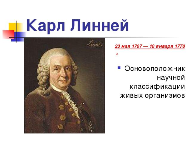 Карл Линней 23 мая 1707 — 10 января 1778, Основоположник научной классификации живых организмов