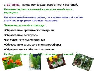 3. Ботаника – наука, изучающая особенности растений. Ботаника является основой с