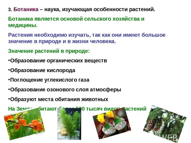 3. Ботаника – наука, изучающая особенности растений. Ботаника является основой сельского хозяйства и медицины. Растения необходимо изучать, так как они имеют большое значение в природе и в жизни человека. Значение растений в природе: Образование орг…