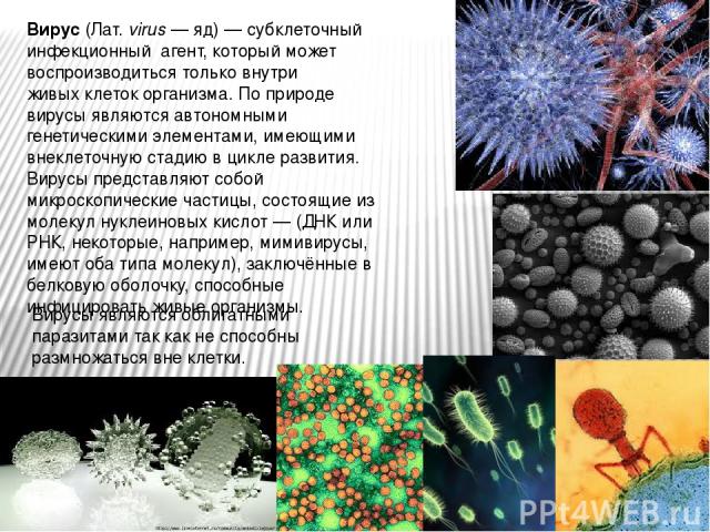 Вирус (Лат. virus — яд) — субклеточный инфекционный  агент, который может воспроизводиться только внутри живых клеток организма. По природе вирусы являются автономными генетическими элементами, имеющими внеклеточную стадию в цикле развития. Вирусы п…