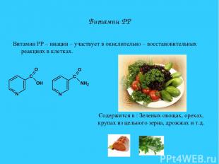 Витамин PP Витамин PP – ниацин – участвует в окислительно – восстановительных ре
