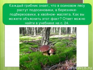 Каждый грибник знает, что в осиновом лесу растут подосиновики, в березняке- подб