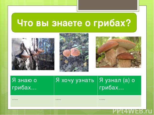 Что вы знаете о грибах? Я знаю о грибах… Я хочу узнать Я узнал (а) о грибах… ….. ..... …..