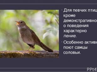 Для певчих птиц кроме демонстративного поведения характерно пение. Особенно акти