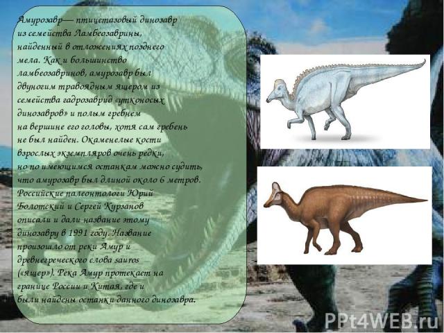 Амурозавр— птицетазовый динозавр из семейства Ламбеозаврины, найденный в отложениях позднего мела. Как и большинство ламбеозавринов, амурозавр был двуногим травоядным ящером из семейства гадрозаврид «утконосых динозавров» и полым гребнем на вершине …