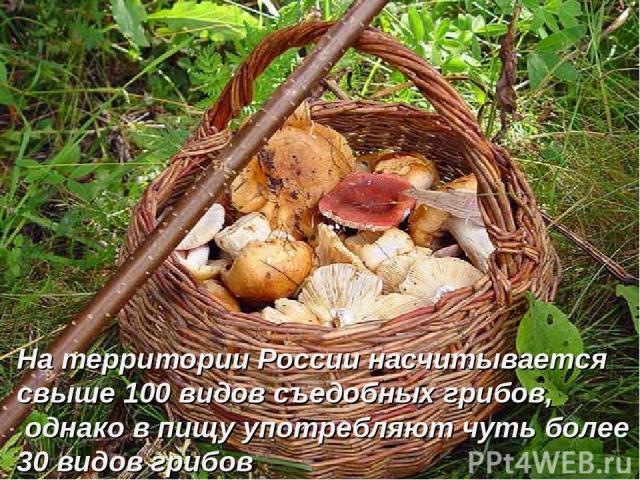 На территории России насчитывается свыше 100 видов съедобных грибов, однако в пищу употребляют чуть более 30 видов грибов