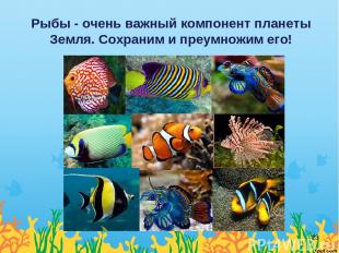 Рыбы - очень важный компонент планеты Земля. Сохраним и преумножим его! *