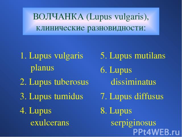 ВОЛЧАНКА (Lupus vulgaris), клинические разновидности: 1. Lupus vulgaris planus 2. Lupus tuberosus 3. Lupus tumidus 4. Lupus exulcerans 5. Lupus mutilans 6. Lupus dissiminatus 7. Lupus diffusus 8. Lupus serpiginosus
