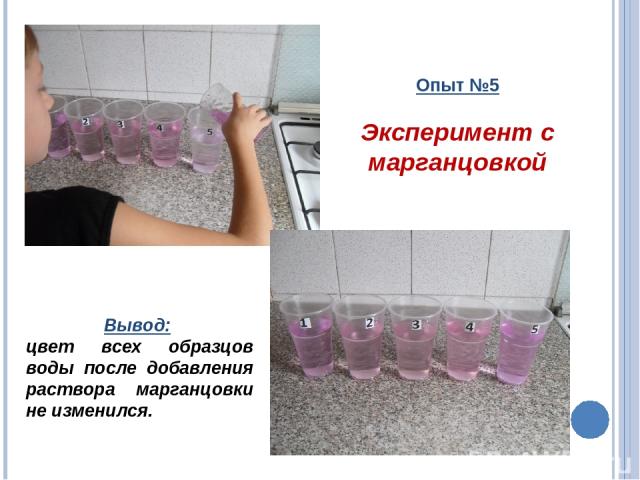 Опыт №5 Эксперимент с марганцовкой Вывод: цвет всех образцов воды после добавления раствора марганцовки не изменился.