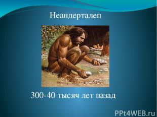Неандерталец 300-40 тысяч лет назад От находки вблизи города Неандерталя (Западн