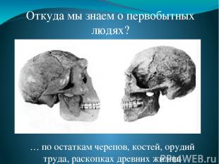 Откуда мы знаем о первобытных людях? … по остаткам черепов, костей, орудий труда