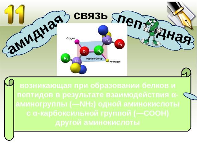 возникающая при образовании белков и пептидов в результате взаимодействия α-аминогруппы (—NH2) одной аминокислоты с α-карбоксильной группой (—СООН) другой аминокислоты амидная пептидная связь
