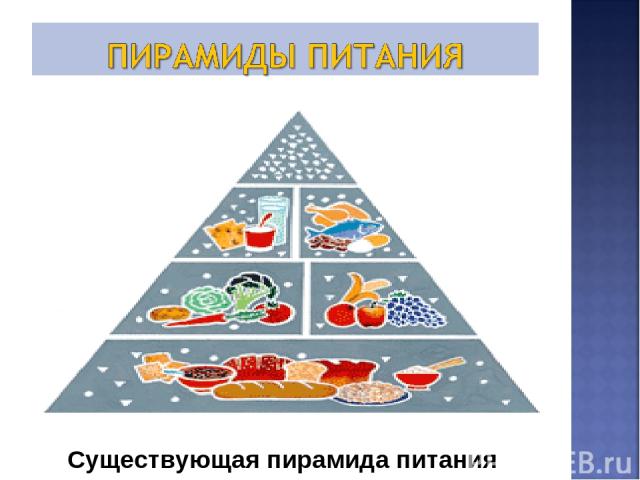 Существующая пирамида питания