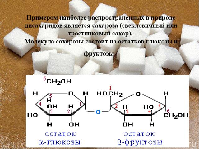 Примером наиболее распространенных в природе дисахаридов является сахароза (свекловичный или тростниковый сахар). Молекула сахарозы состоит из остатков глюкозы и фруктозы.