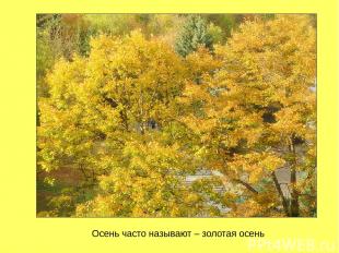Осень часто называют – золотая осень