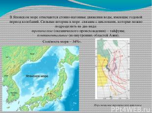 В Японском море отмечаются сгонно-нагонные движения воды, имеющие годовой период
