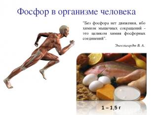 Фосфор в организме человека "Без фосфора нет движения, ибо химизм мышечных сокра