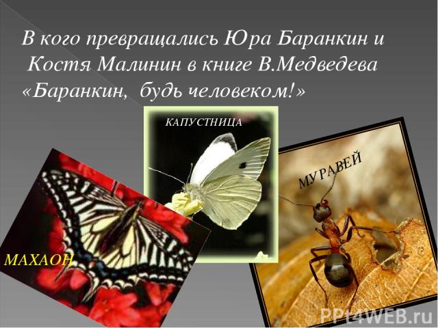 В кого превращались Юра Баранкин и Костя Малинин в книге В.Медведева «Баранкин, будь человеком!» МАХАОН КАПУСТНИЦА МУРАВЕЙ