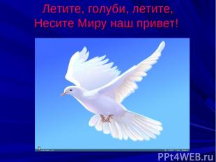 Летите, голуби, летите, Несите Миру наш привет!