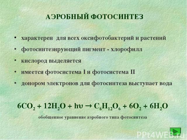 АЭРОБНЫЙ ФОТОСИНТЕЗ характерен для всех оксифотобактерий и растений фотосинтезирующий пигмент - хлорофилл кислород выделяется имеется фотосистема I и фотосистема II донором электронов для фотосинтеза выступает вода 6СО2 + 12Н2О + h С6Н12О6 + 6О2 + 6…