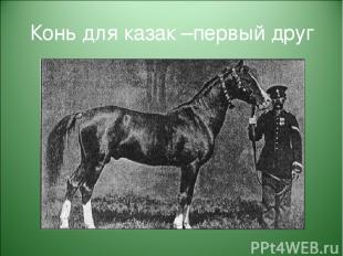 Конь для казак –первый друг
