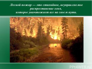 Лесной пожар — это стихийное, неуправляемое распростанение огня, которое уничтож
