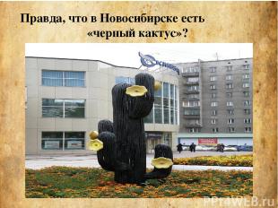 Правда, что в Новосибирске есть «черный кактус»?