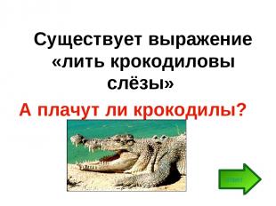 Существует выражение «лить крокодиловы слёзы» А плачут ли крокодилы? ответ