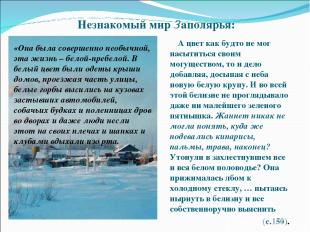 Незнакомый мир Заполярья: А цвет как будто не мог насытиться своим могуществом,