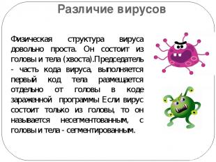 Различие вирусов Физическая структура вируса довольно проста. Он состоит из голо