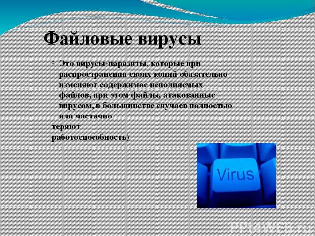 Файловые вирусы Это вирусы-паразиты, которые при распространении своих копий обязательно изменяют содержимое исполняемых файлов, при этом файлы, атакованные вирусом, в большинстве случаев полностью или частично теряют работоспособность)