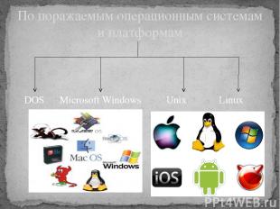 DOS Microsoft Windows Unix Linux По поражаемым операционным системам и платформа