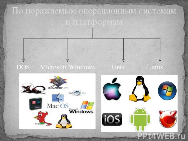 DOS Microsoft Windows Unix Linux По поражаемым операционным системам и платформам