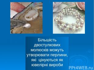 Більшість двостулкових молюсків можуть утворювати перлини, які цінуються як ювел