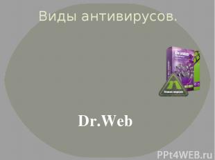 Виды антивирусов. Dr.Web