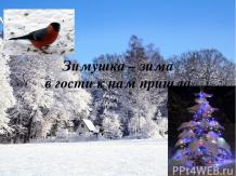«Зимушка – зима в гости к нам пришла»