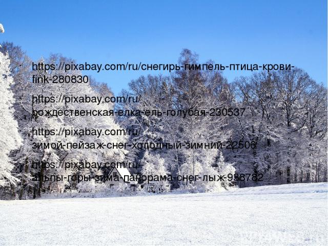 https://pixabay.com/ru/снегирь-гимпель-птица-крови-fink-280830 https://pixabay.com/ru/рождественская-елка-ель-голубая-230537 https://pixabay.com/ru/зимой-пейзаж-снег-холодный-зимний-22506 https://pixabay.com/ru/альпы-горы-зима-панорама-снег-лыж-938782