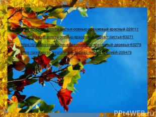 https://pixabay.com/ru/листья-осенью-оранжевый-красный-228111 https://pixabay.co