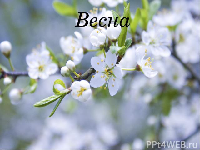 Весна