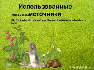 Использованные источники http://by-anna.com/ http://animalworld.com.ua/news/Simp