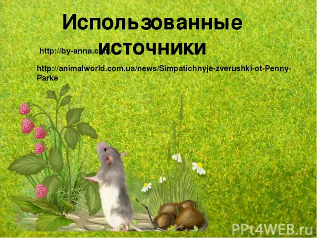 Использованные источники http://by-anna.com/ http://animalworld.com.ua/news/Simpatichnyje-zverushki-ot-Penny-Parke