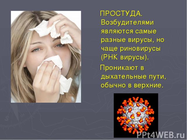 ПРОСТУДА. Возбудителями являются самые разные вирусы, но чаще риновирусы (РНК вирусы). Проникают в дыхательные пути, обычно в верхние.
