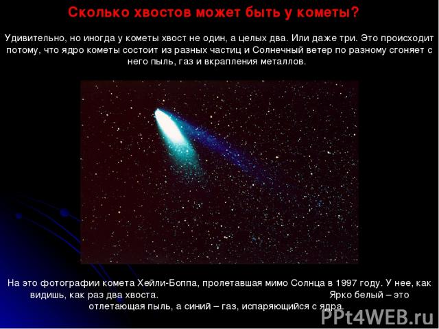 Сколько хвостов может быть у кометы? Удивительно, но иногда у кометы хвост не один, а целых два. Или даже три. Это происходит потому, что ядро кометы состоит из разных частиц и Солнечный ветер по разному сгоняет с него пыль, газ и вкрапления металло…