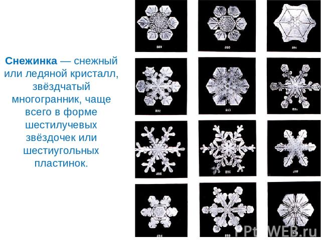 Снежинка — снежный или ледяной кристалл, звёздчатый многогранник, чаще всего в форме шестилучевых звёздочек или шестиугольных пластинок.