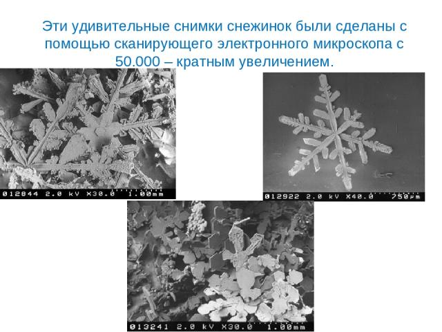 Эти удивительные снимки снежинок были сделаны с помощью сканирующего электронного микроскопа с 50.000 – кратным увеличением.