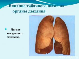 Влияние табачного дыма на органы дыхания Легкие некурящего человека.