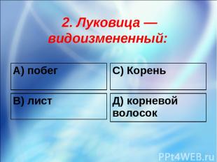 2. Луковица — видоизмененный: А) побег С) Корень В) лист Д) корневой волосок