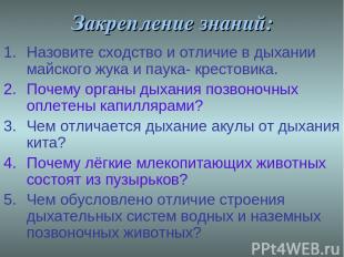 Закрепление знаний: Назовите сходство и отличие в дыхании майского жука и паука-